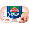RAMIREZ ATUM AO NATURAL 120GRS